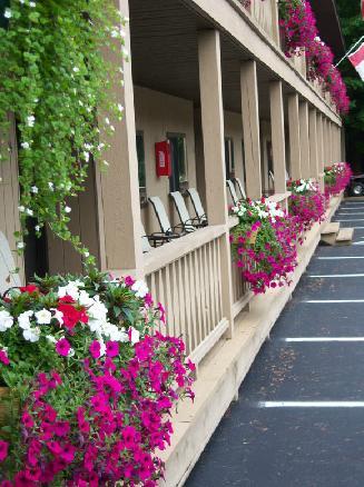 Tall Pines Motel Lake George Exterior foto