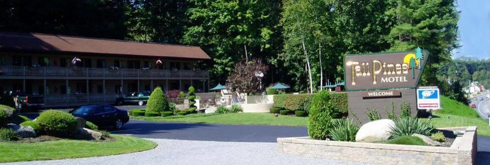 Tall Pines Motel Lake George Exterior foto